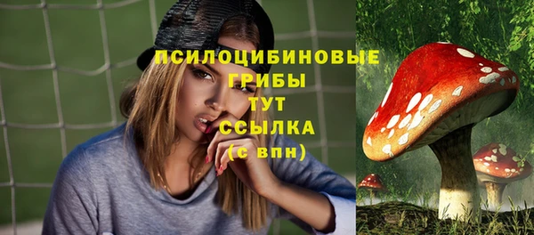 PSILOCYBIN Белоозёрский