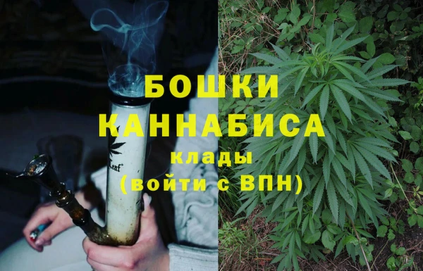 PSILOCYBIN Белоозёрский